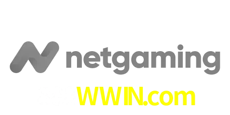 NetGaming